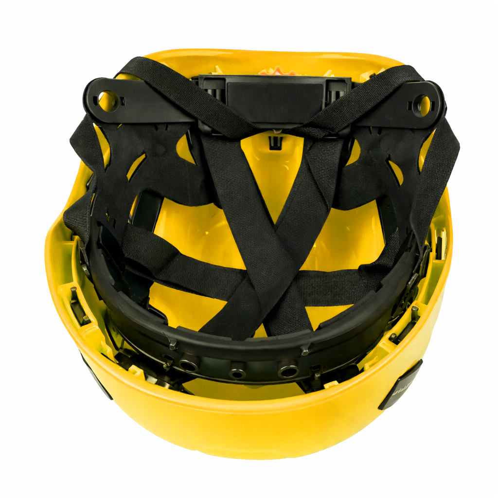z3.png
